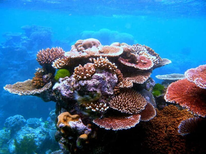 Koh Tao: Snorkeling and Sunset Tour - Why This Tour Is Worth Your While