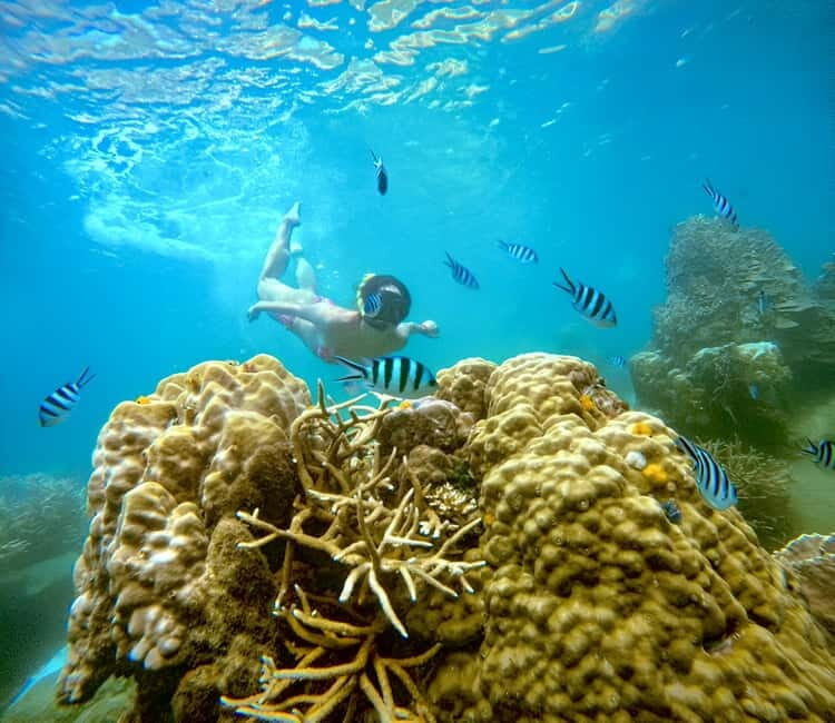 Koh Tao: Snorkeling Trip to Nang Yuan Island & Hidden Bays - The Itinerary: A Day Made for Water Lovers