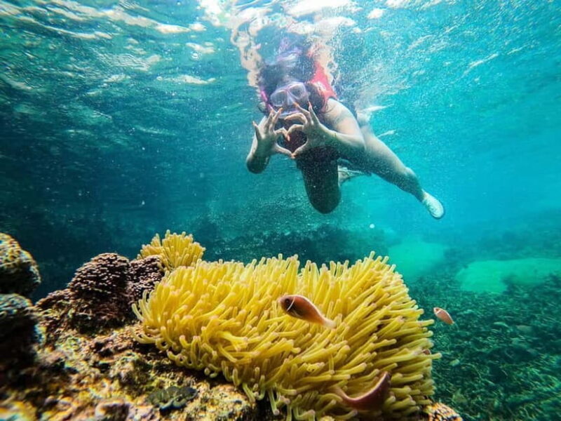 Koh Tao: Underwater Gems, Island Hopping & Snorkel Adventure - Aow Luek & Shark Bay: Snorkeling with Turtles and Sharks