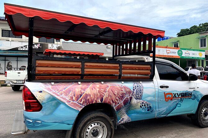 Koh Tao's First Light Snorkel Adventure with Oxygen Tours - The Itinerary in Detail: What to Expect