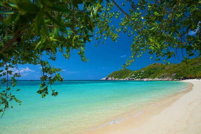 Koh Tao's First Light Snorkel Adventure with Oxygen Tours - Who Will Love This Tour?