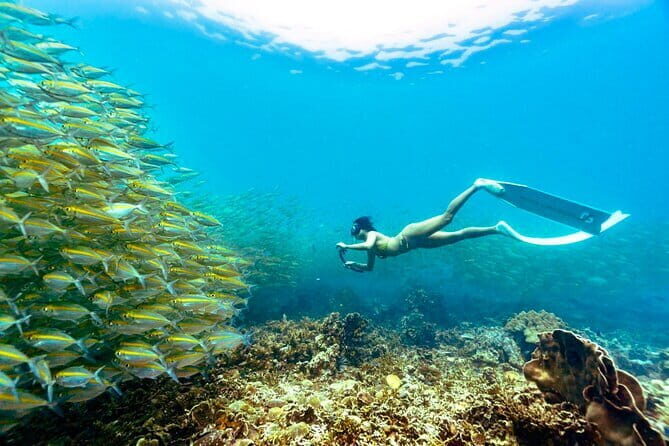 Koh Taos Top Snorkeling Spots by Vintage Wooden Boat - Detailed Breakdown of the Itinerary