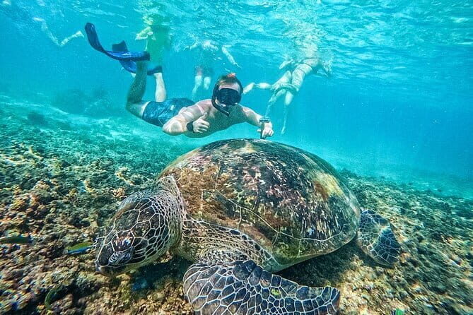 Koh Taos Top Snorkeling Spots by Vintage Wooden Boat - FAQ