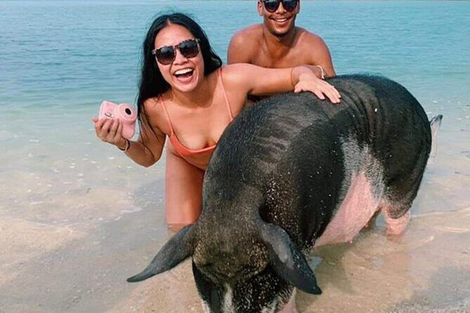 kohsamui.tours - Pig Island Snorkeling Eco Tour by Speed Boat - A Closer Look at the Itinerary