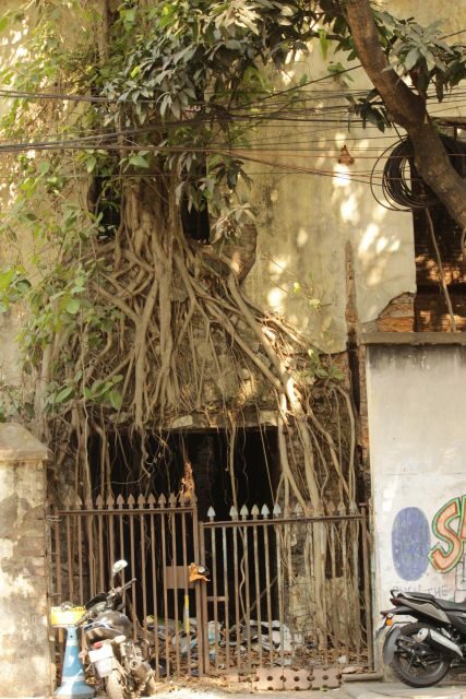 Kolkata: A Sea of Faces and A Thousand Places - The Sum Up