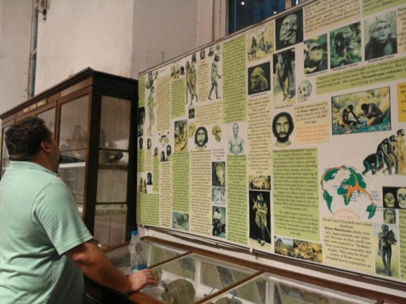 Kolkata: Guided Heritage Walking Tour - Authentic Experiences and Practical Tips