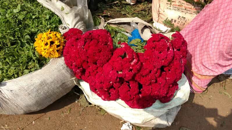 Kolkata: Half-Day Morning Tour w/ Flower Market - A Practical Look at the Kolkata: Half-Day Morning Tour with Flower Market