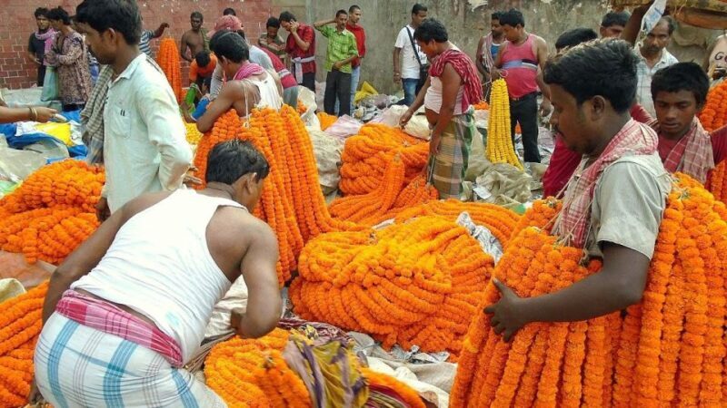 Kolkata: Private Tour of City of Joy with Licensed Guide - A Deep Dive into the Kolkata Private Tour