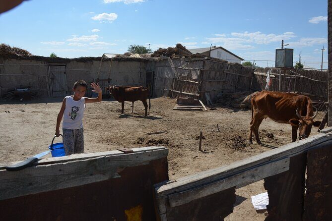 Kolkhoz: Private visit to the cotton farmers' village - An In-Depth Look at the Itinerary
