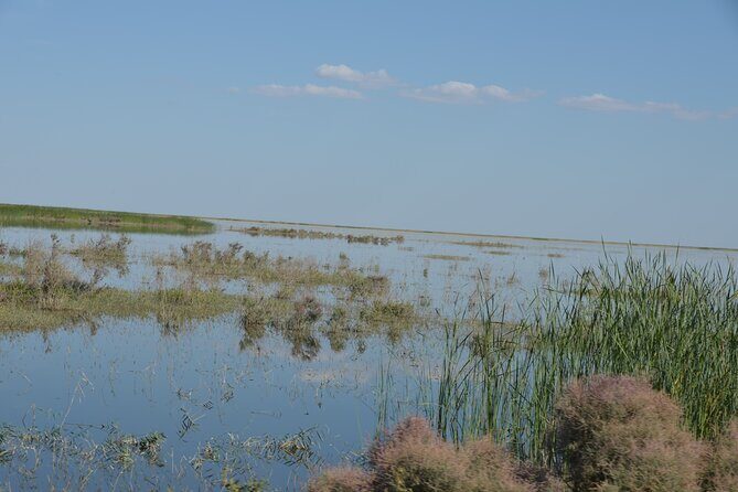 Kolkhoz: Private visit to the cotton farmers' village - Who Will Love This Tour?