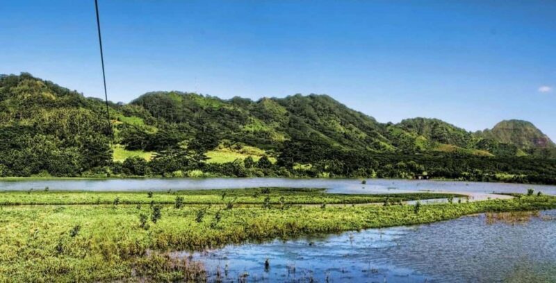 Koloa: Kauais Longest 8-Line Zipline Tour - The Value of the Tour