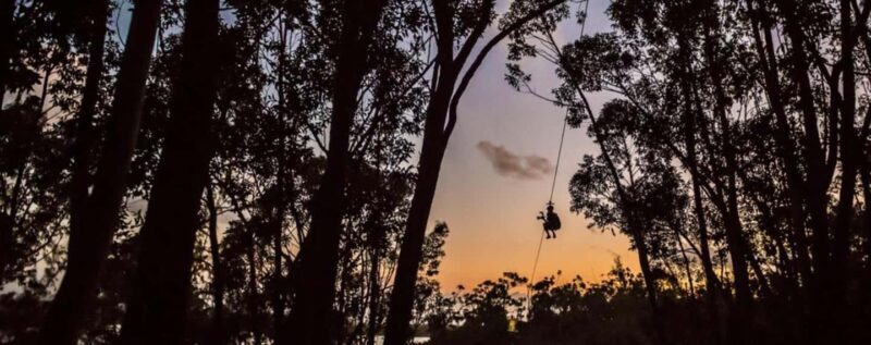 Koloa: Kauais Longest 8-Line Zipline Tour - Practical Tips for Travelers