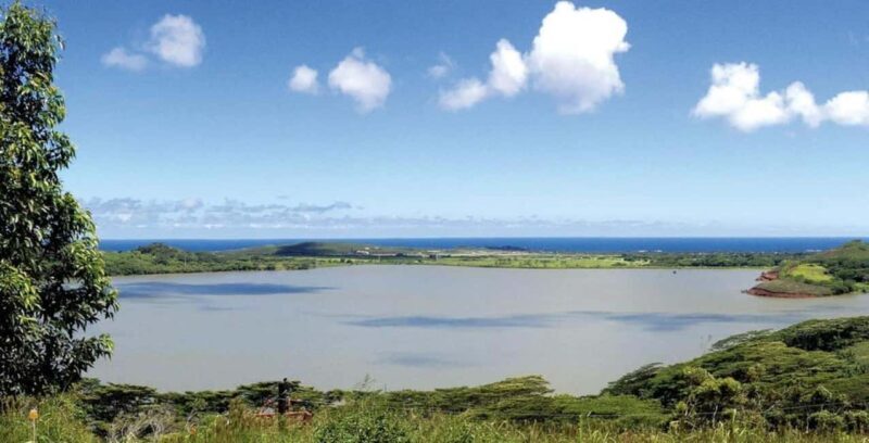 Koloa: Kauais Longest 8-Line Zipline Tour - Authentic Feedback from Participants