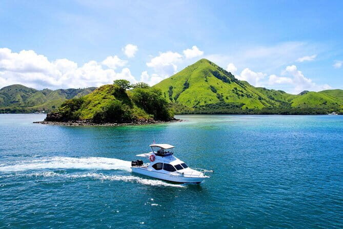 Komodo Island Adventure from Bali (Day Trip) - An In-Depth Look at the Komodo Island Day Trip