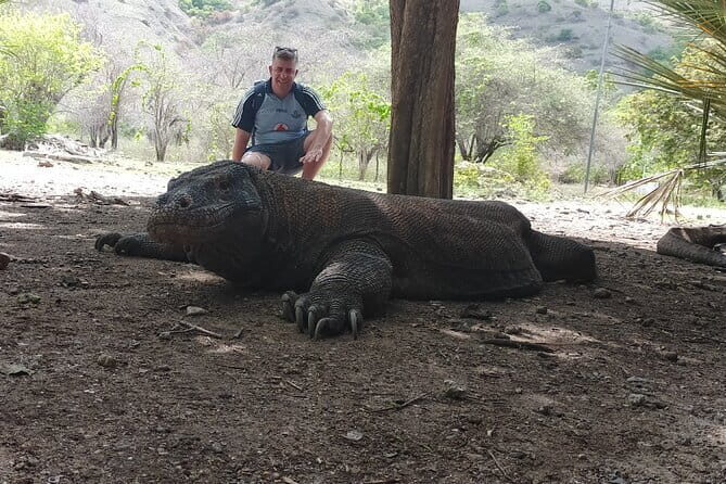 Komodo Island Adventure from Bali (Day Trip) - Authentic Feedback from Travelers