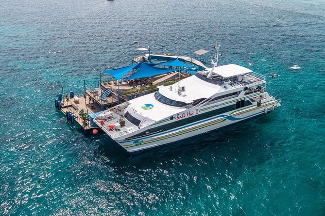 Komodo Island Adventure from Bali (Day Trip) - Final Thoughts: Is It Worth It?