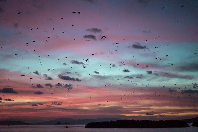 Komodo Private Boat tour 3Days 2 Night - Authentic Feedback from Travelers