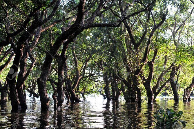 Kompong Phluk Village Tonle Sap Lake Half-Day Tour From Siem Reap - Practicalities and Considerations