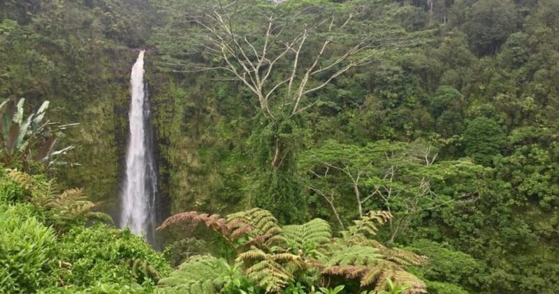 Kona: Big Island Big Volcano Adventure - The Value of Guided Expertise