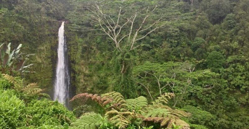 Kona: Big Island Big Volcano Adventure - Final Thoughts