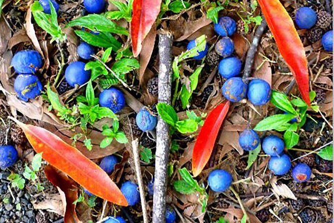 Kona Cloud Forest and Coffee Tour with Sea Turtle Beach Visit - An In-Depth Look at the Tour Experience