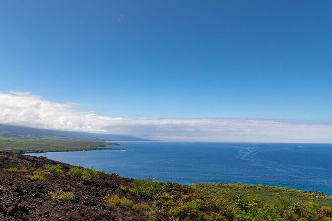 Kona Coast Cruise: Snorkel Kealakekua Bay & Dolphin Encounter - An In-Depth Look at the Experience