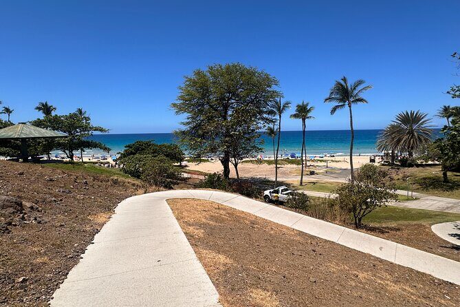 Kona Cruise Ship Excursion Hapuna Beach Day, Petroglyphs & NHS - The Sum Up: Who Should Consider This Tour?