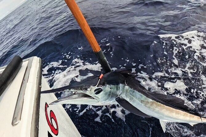 Kona Hawaii Deep Sea Fishing Escapade on the Bite Me 6 - FAQs About the Kona Deep Sea Fishing on the Bite Me 6