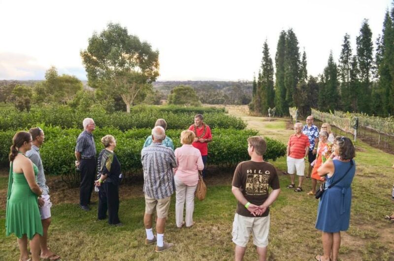 Kona: Hawaii Volcanoes National Park Tour - The Journey Begins: Coffee, Coastal Views, and Local Flavor