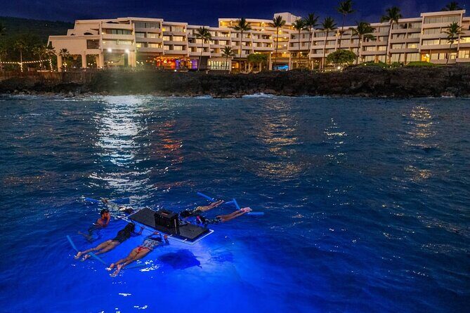 Kona Manta Night Snorkel Adventure: Swim with Majestic Rays - An In-Depth Look at the Kona Manta Night Snorkel Adventure