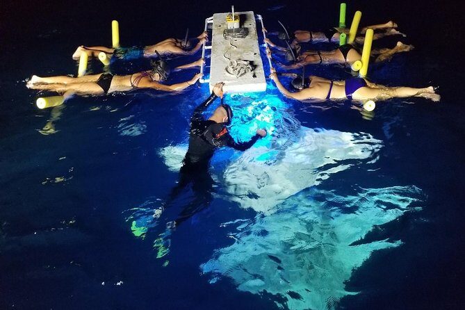 KONA Manta Ray Night Snorkel - FREE re-ride if no Sightings - Key Points