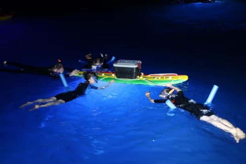 Kona Manta Ray Night Snorkel (Manta Guarantee Policy) - Deep Dive into the Itinerary and Experience