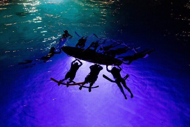 Kona Night Manta Snorkel Tour - An In-Depth Look at the Kona Night Manta Snorkel Tour