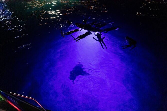 Kona Night Manta Snorkel Tour - The Journey to the Manta Hotspot