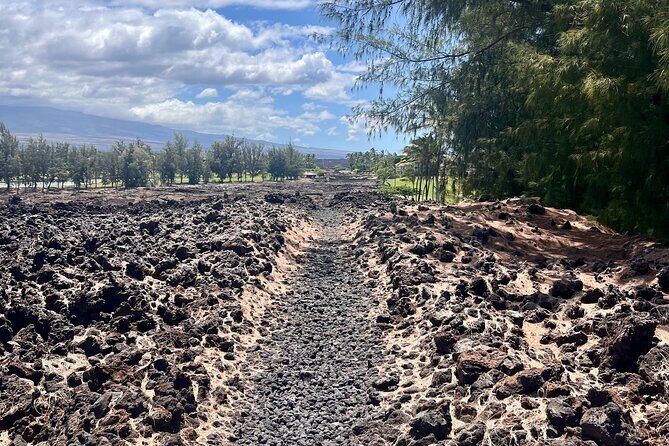 Kona Port: Private History & Farmer's Market Excursion - Final Thoughts