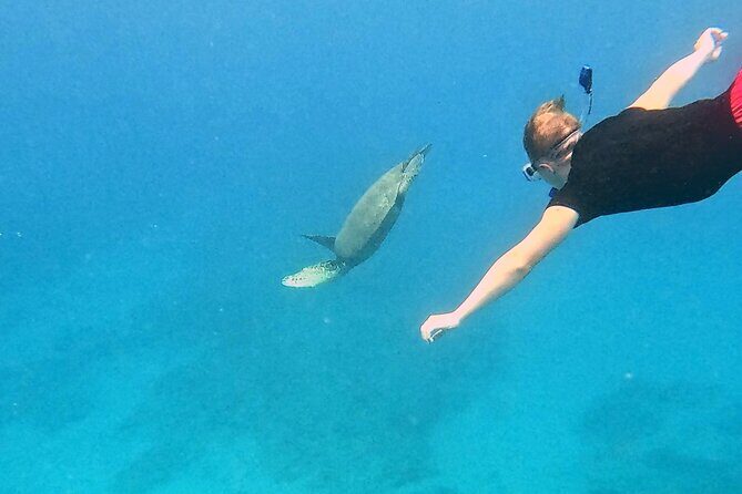 Kona Snorkeling Adventure Open Charter - Who Is This Tour Best For?