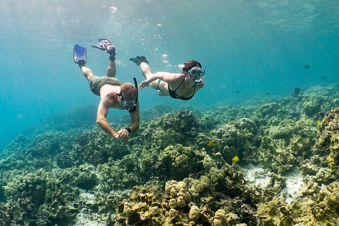 Kona Snorkeling Gear Rental Dive Into Adventure - Final Thoughts: A Practical Choice for Explorers