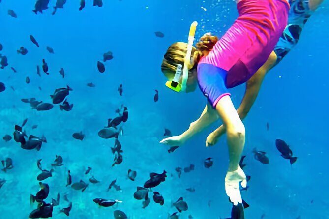 Kona Snorkeling Gear Rental Dive Into Adventure - FAQ