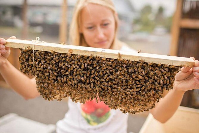 Kona Tour: Bee Farm, Kona Coffee, and National Historical Parks - Transportation, Pacing, and Personalization
