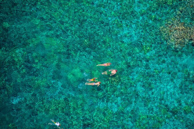 Konas Best Morning Snorkel: Captain Cook & Kealakekua Bay - Final Thoughts: Is This the Right Trip for You?