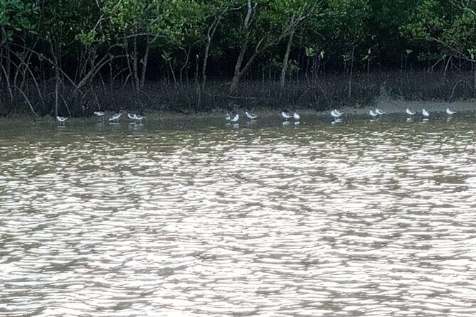 Kongo River Sunset Experience in Canoe - Final Thoughts: Who Will Love This Tour?