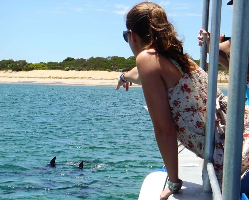 Koombana Bay: Dolphin Eco Cruise - Final Thoughts