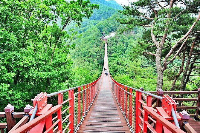 Korea DMZ Tour with Gloster Memorial & Heroes Suspension Bridge - An In-Depth Look at the Tour