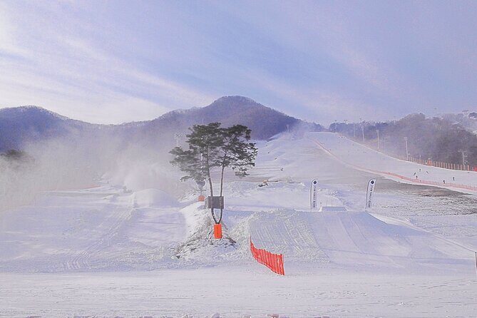 Korea Ski Tour from Seoul - Jisan Forest Resort - Starting the Day: Ease of Transportation and Meeting Point