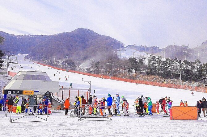Korea Ski Tour from Seoul - Jisan Forest Resort - Snow Sledding and Leisure Activities