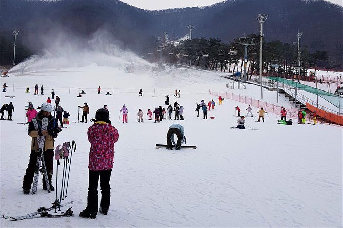 Korea Ski Tour from Seoul - Jisan Forest Resort - Lunch and Breaks