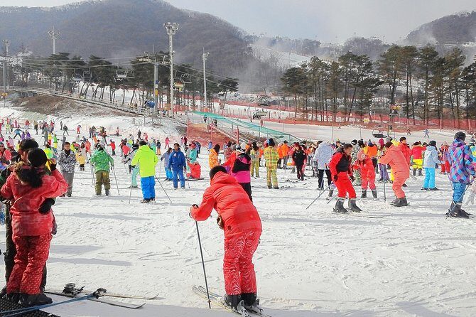 Korea Ski Tour from Seoul - Jisan Forest Resort - End of the Day: Return and Drop-Off
