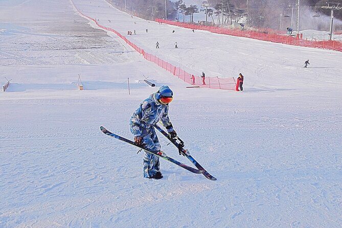 Korea Ski Tour from Seoul - Jisan Forest Resort - Analyzing the Value