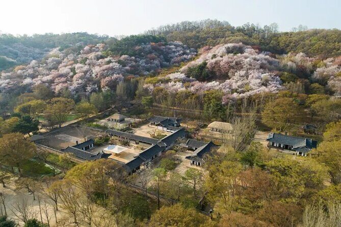 Korean Folk Village Afternoon Half day Tour - Final Thoughts: Who Will Love This Tour?
