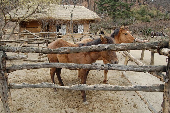Korean Folk Village Afternoon Tour from Seoul - Who Should Consider This Tour?